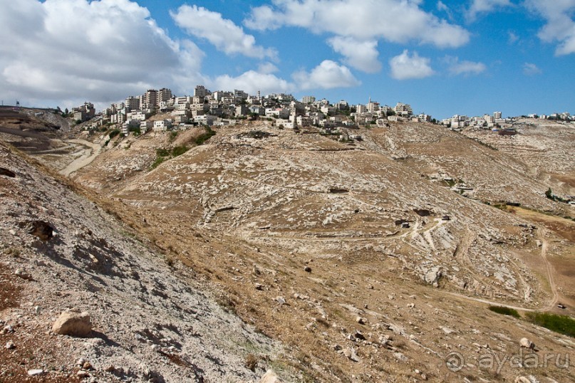 Альбом отзыва "Быстрорастворимая Палестина"