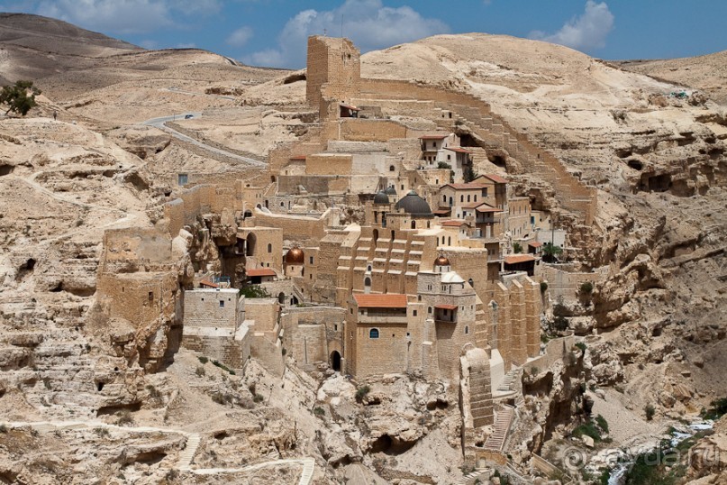 Быстрорастворимая Палестина