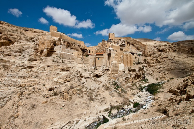 Быстрорастворимая Палестина