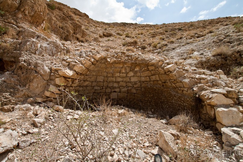 Быстрорастворимая Палестина