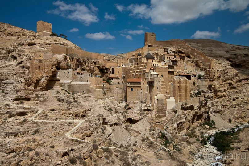 Быстрорастворимая Палестина