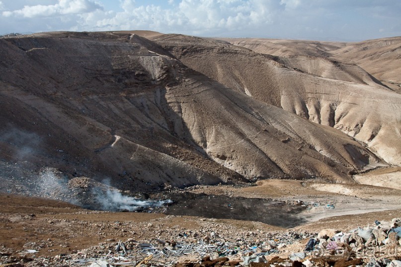 Быстрорастворимая Палестина