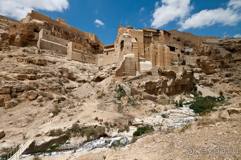 Быстрорастворимая Палестина