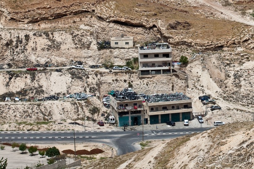 Быстрорастворимая Палестина