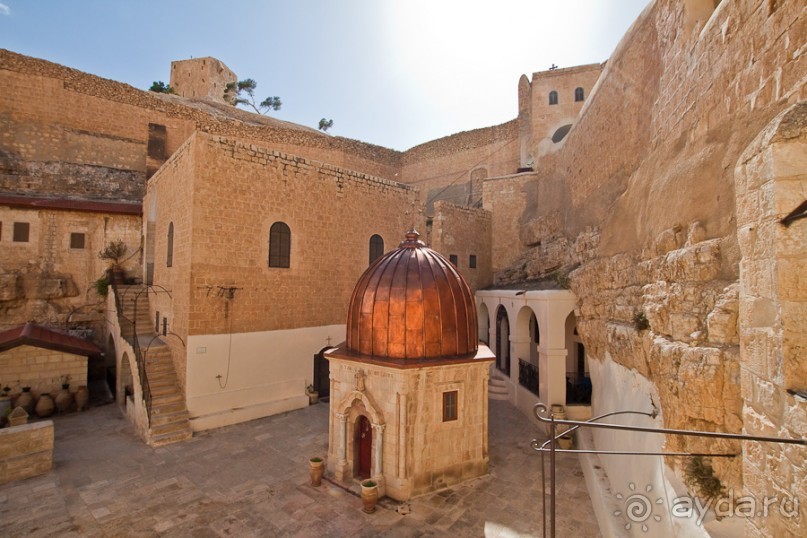 Быстрорастворимая Палестина