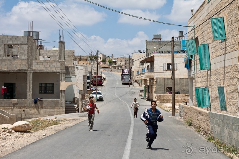 Быстрорастворимая Палестина