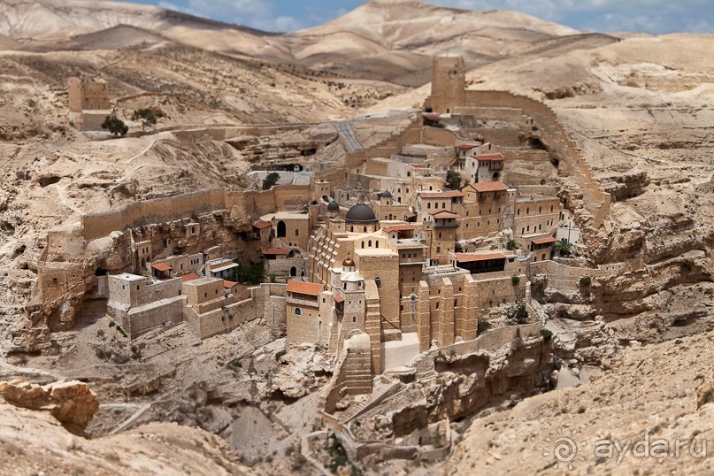 Быстрорастворимая Палестина