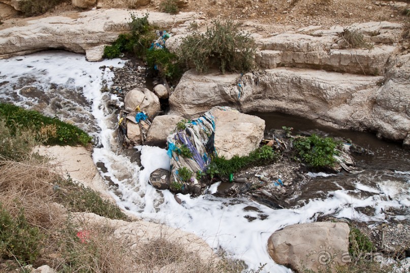 Быстрорастворимая Палестина