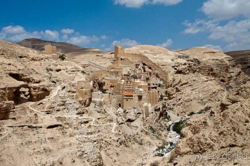 Быстрорастворимая Палестина