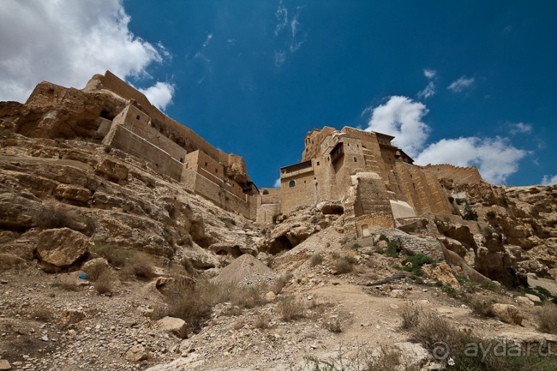 Быстрорастворимая Палестина