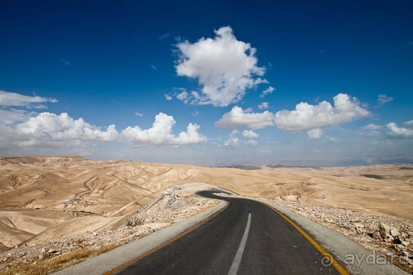 Быстрорастворимая Палестина