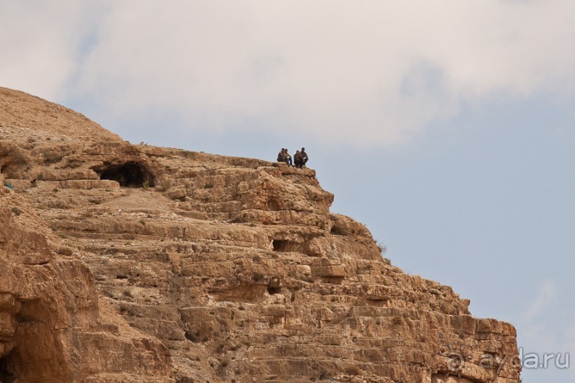 Быстрорастворимая Палестина