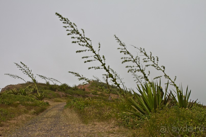 Остров São Vicente, город Mindelo, Cape Verde (2/4)