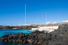 фото Дуглас