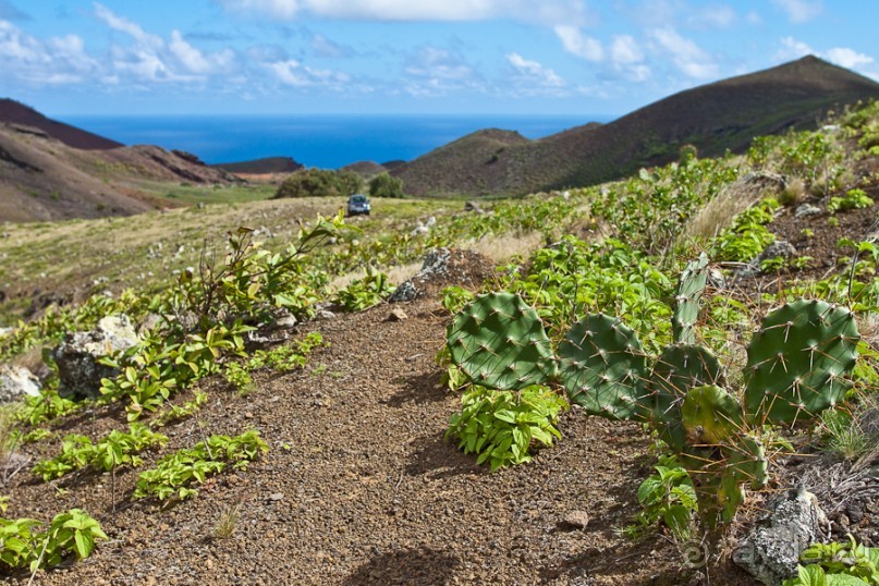 Остров Вознесения, южный Атлантический Океан