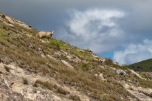 Остров Вознесения, южный Атлантический Океан