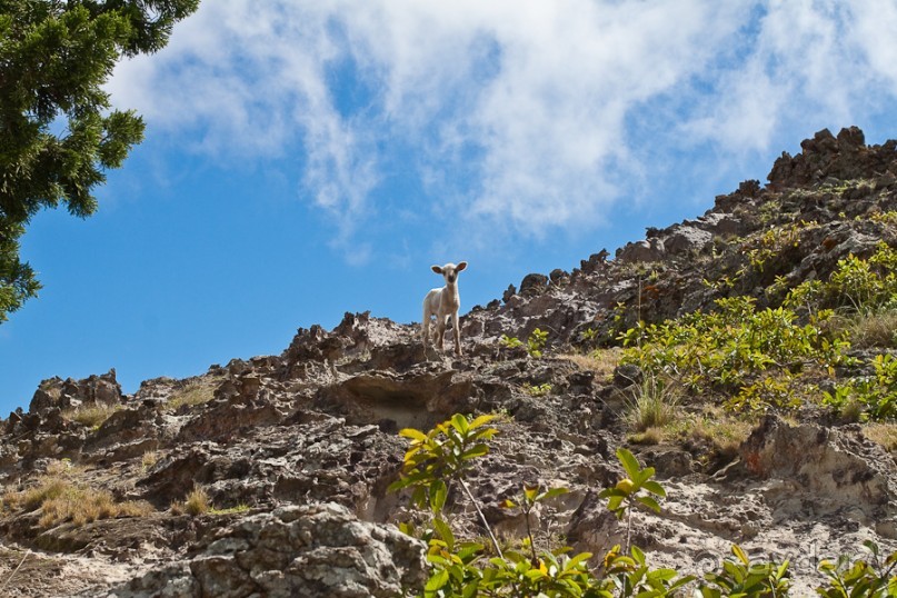 Остров Вознесения, южный Атлантический Океан