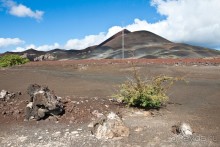 фото Дуглас