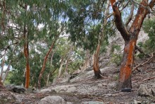 Остров Вознесения, южный Атлантический Океан