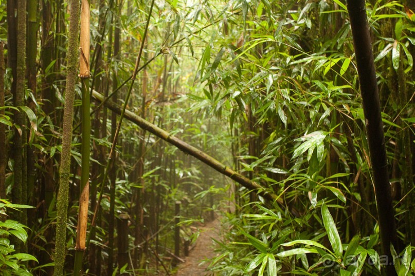 Остров Вознесения, южный Атлантический Океан