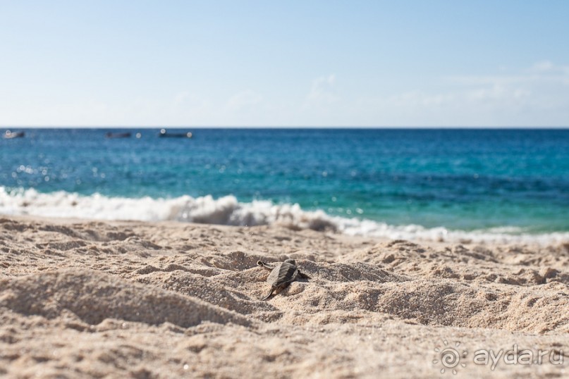 Остров Вознесения, южный Атлантический Океан