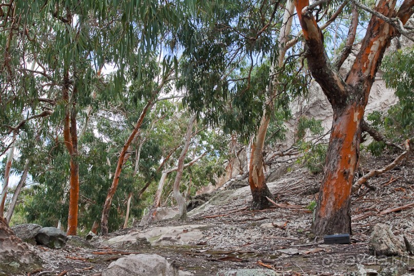 Остров Вознесения, южный Атлантический Океан