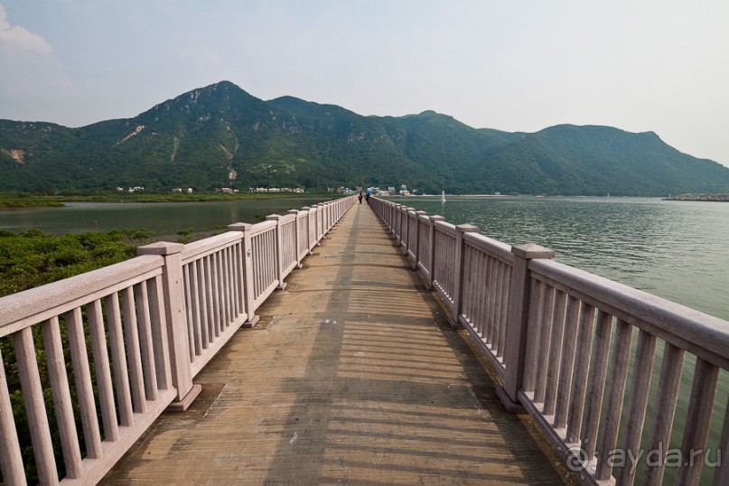 Альбом отзыва "Гонконг - Тай О"