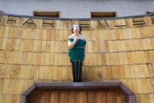 Аландские острова (2/3)