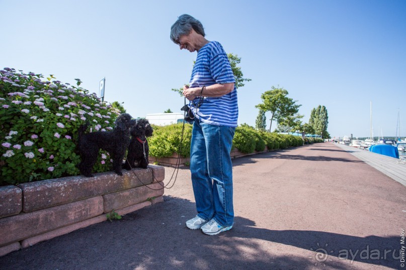 Аландские острова (2/3)