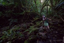 Раротонга, Острова Кука (1/3)