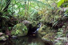 Раротонга, Острова Кука (1/3)