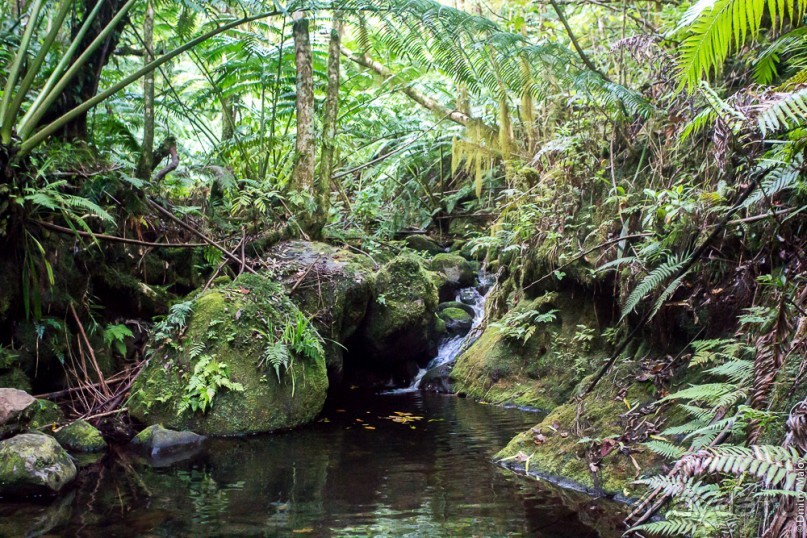 Раротонга, Острова Кука (1/3)