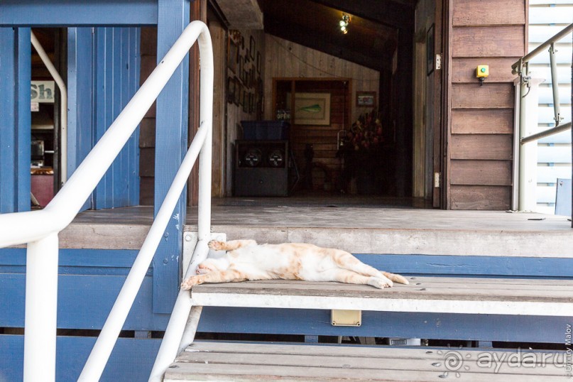 Раротонга, Острова Кука (1/3)