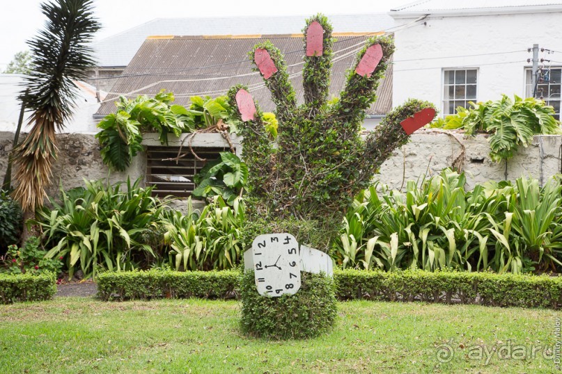 Остров Святой Елены