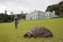 Остров Святой Елены, южный Атлантический Океан (4/5)