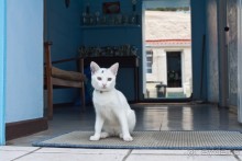 Остров Святой Елены, южный Атлантический Океан (4/5)