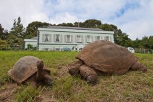 Остров Святой Елены, южный Атлантический Океан (4/5)