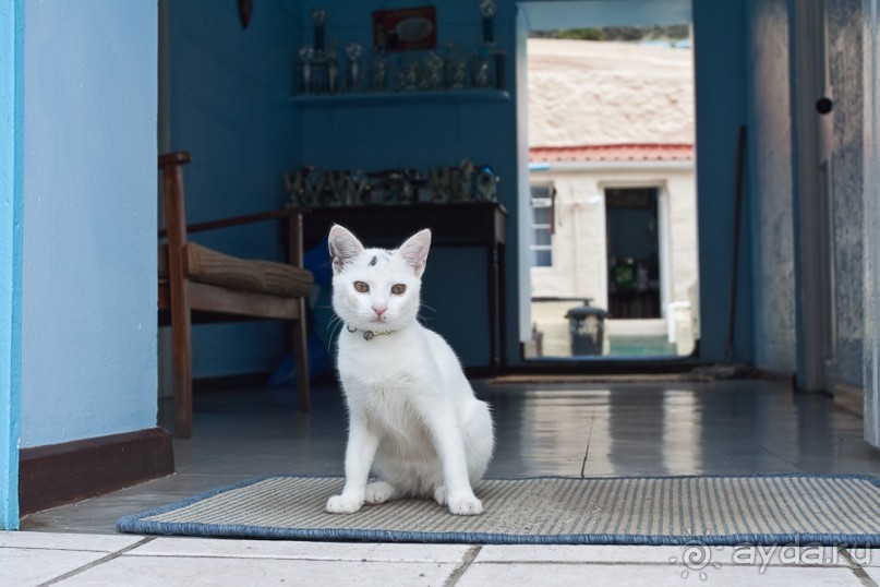Остров Святой Елены, южный Атлантический Океан (4/5)