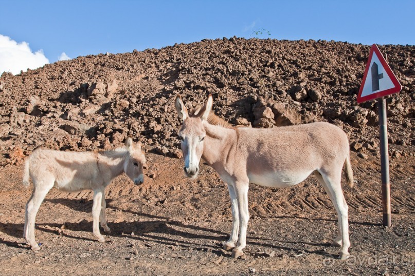 Остров Вознесения, южный Атлантический океан (2/3)