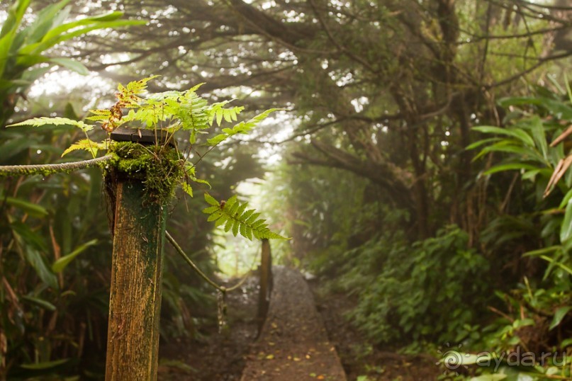 Остров Вознесения, южный Атлантический океан (2/3)