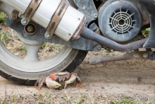 Аитутаки, Острова Кука (3/3)