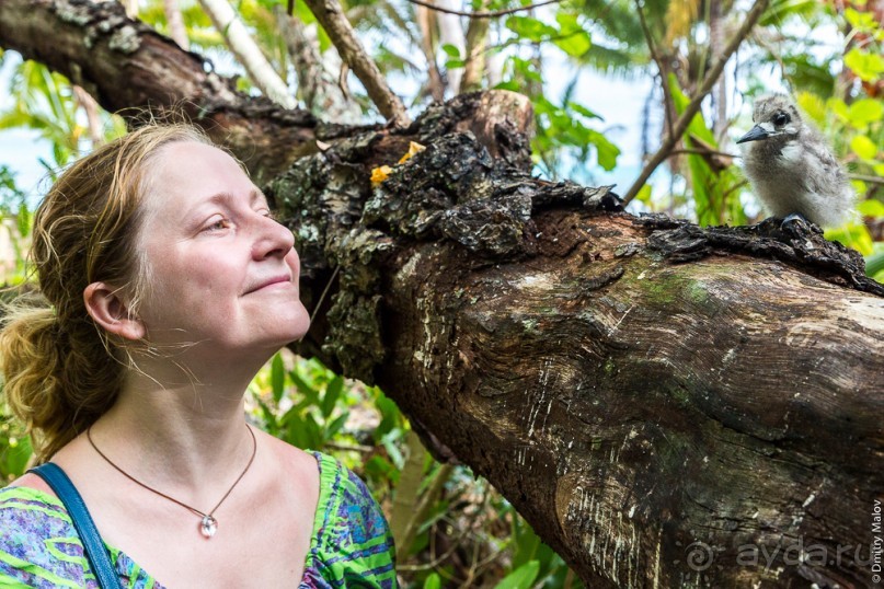 Аитутаки, Острова Кука (3/3)