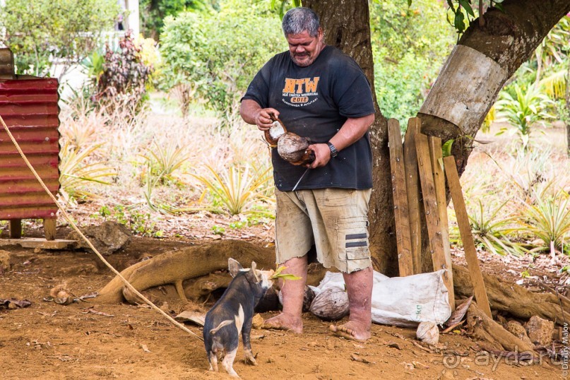 Аитутаки, Острова Кука (3/3)