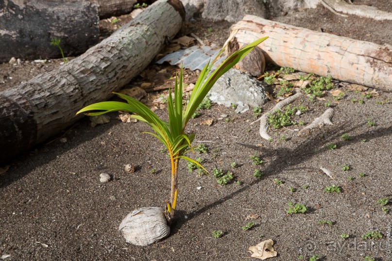 Аитутаки, Острова Кука (3/3)