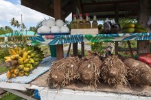 Альбом отзыва "Самоа (3/5)"