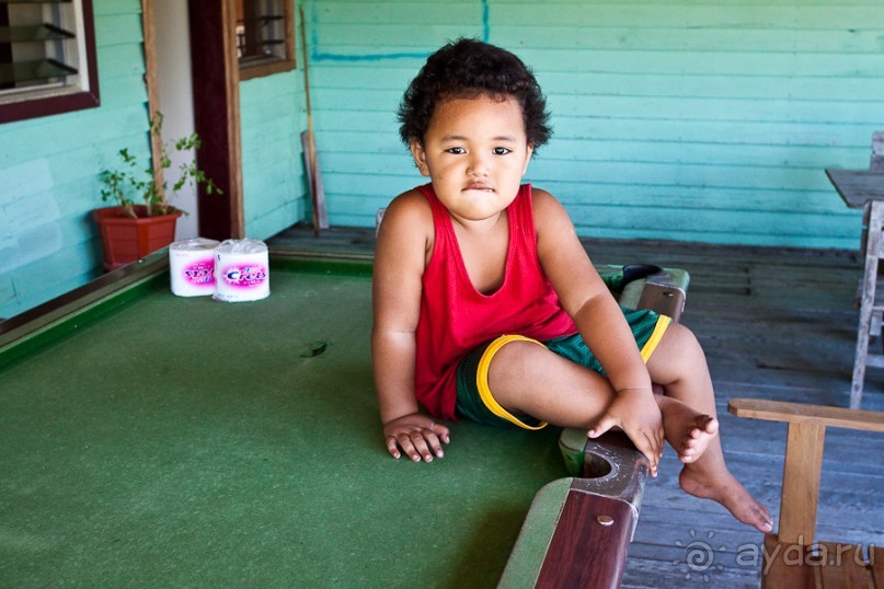 Альбом отзыва "Самоа (3/5)"