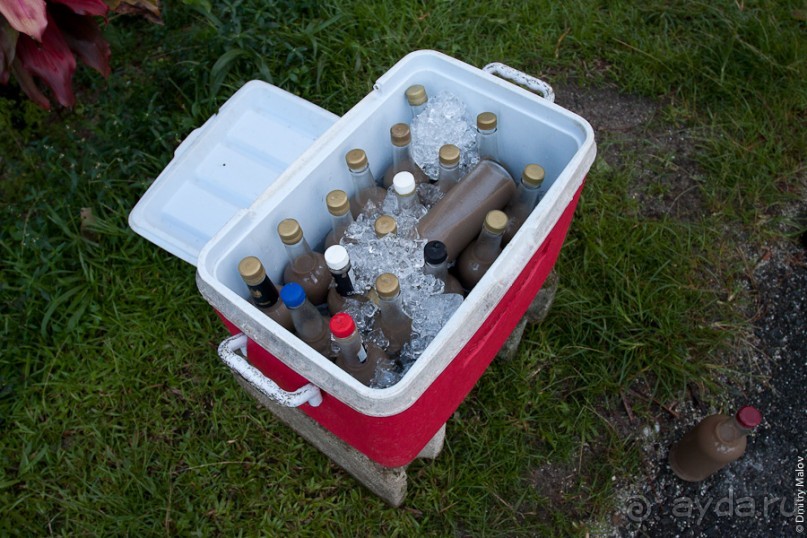 Pohnpei, Micronesia (1/2)