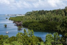 Pohnpei, Micronesia (1/2)