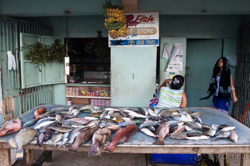Альбом отзыва "Pohnpei, Micronesia (1/2)"