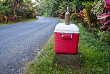 Pohnpei, Micronesia (1/2)